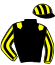 Casaque du jockey de First De Bretagne