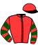 Casaque du jockey de Ianovka