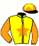 Casaque du jockey de Jarite Fleury