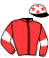 Casaque du jockey de Jacotte Du Guelier