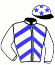 Casaque du jockey de L'Agora Game