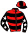 Casaque du jockey de L'Elite D'Hollow