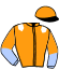 Casaque du jockey de Garibaldi