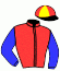 Casaque du jockey de Webcam