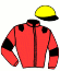 Casaque du jockey de Shika Du Berlais