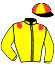 Casaque du jockey de De Vive Voix