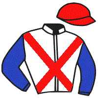 Casaque du jockey de Champagne Mystery