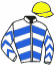 Casaque du jockey de Le Rivage