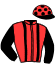 Casaque du jockey de Lareine D'Ourville