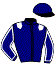 Casaque du jockey de Hockfeler Du Mesle