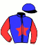 Casaque du jockey de Jasmine De Lyons