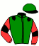 Casaque du jockey de Lastojaine