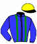 Casaque du jockey de Lovissime