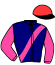 Casaque du jockey de Koquin Du Perche