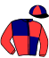 Casaque du jockey de Holka Du Lys