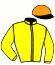 Casaque du jockey de Helios Si