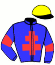 Casaque du jockey de La Clocharde