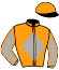 Casaque du jockey de Maracamaya