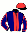 Casaque du jockey de Maitre D'Houlbec