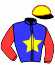 Casaque du jockey de Felix du Bourg