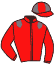 Casaque du jockey de Rule of Thumb