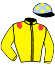 Casaque du jockey de Jylvie De Gueude