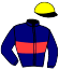 Casaque du jockey de Majestueuse