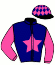 Casaque du jockey de Hary Des Dagardes