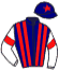 Casaque du jockey de Ruchbah