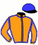 Casaque du jockey de Bow Lane