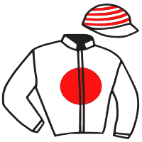 Casaque du jockey de Storm City