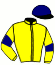 Casaque du jockey de King Hartwood