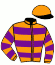 Casaque du jockey de Oser