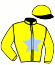 Casaque du jockey de Flopy Rush