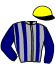 Casaque du jockey de Milltop