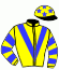 Casaque du jockey de Striver