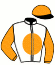 Casaque du jockey de Forza Capitano