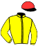 Casaque du jockey de La Louviere