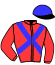 Casaque du jockey de Cynic