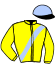 Casaque du jockey de Wintervogel