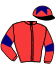 Casaque du jockey de Vera