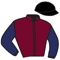 Casaque du jockey de Galene