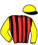 Casaque du jockey de Zantario