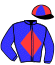 Casaque du jockey de Srifanelogreen