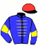 Casaque du jockey de Zerostress