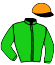 Casaque du jockey de Perrou