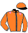 Casaque du jockey de Rajindri