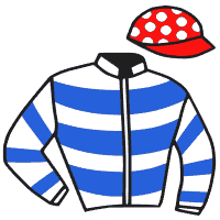 Casaque du jockey de Diamantine