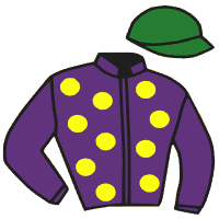 Casaque du jockey de Lhommaize