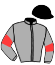 Casaque du jockey de Jiri Pacha